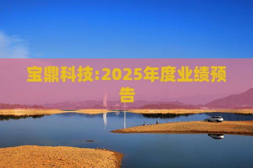宝鼎科技:2025年度业绩预告  第1张