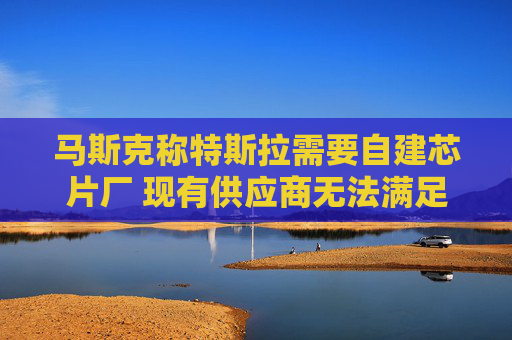 马斯克称特斯拉需要自建芯片厂 现有供应商无法满足需求