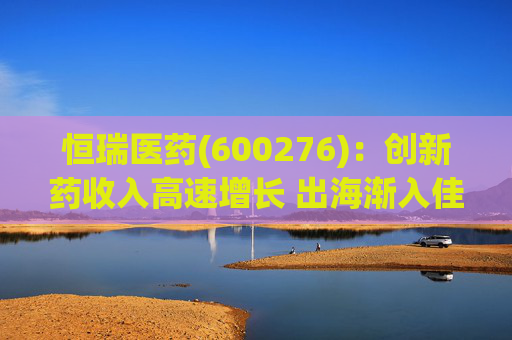 恒瑞医药(600276)：创新药收入高速增长 出海渐入佳境  第1张