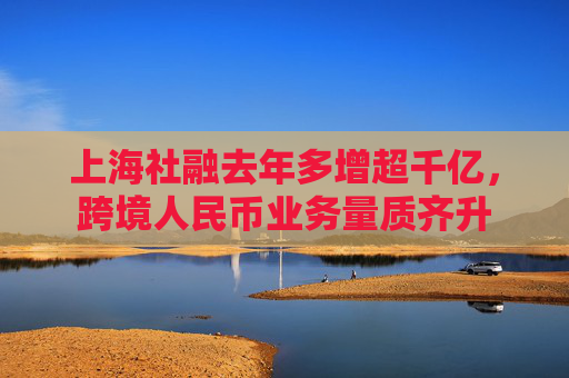 上海社融去年多增超千亿，跨境人民币业务量质齐升