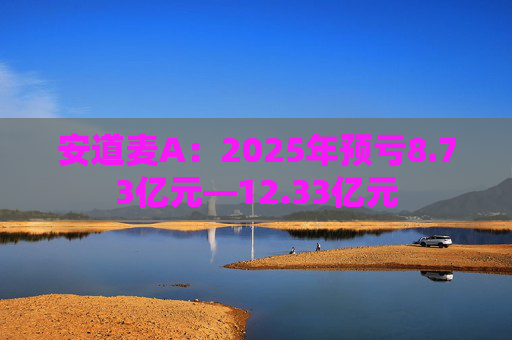 安道麦A:2025年预亏8.73亿元—12.33亿元