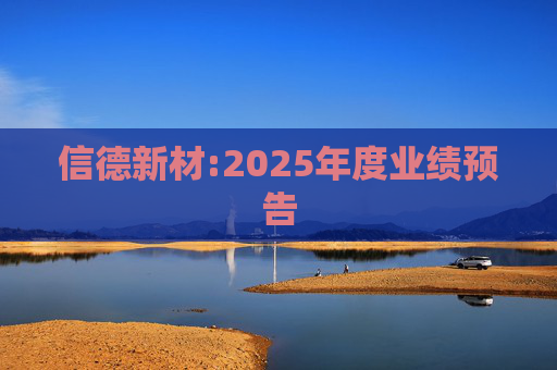 信德新材:2025年度业绩预告