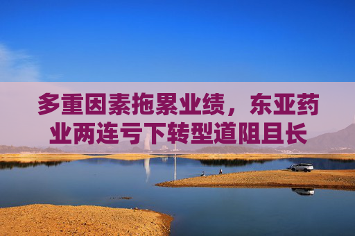 多重因素拖累业绩，东亚药业两连亏下转型道阻且长
