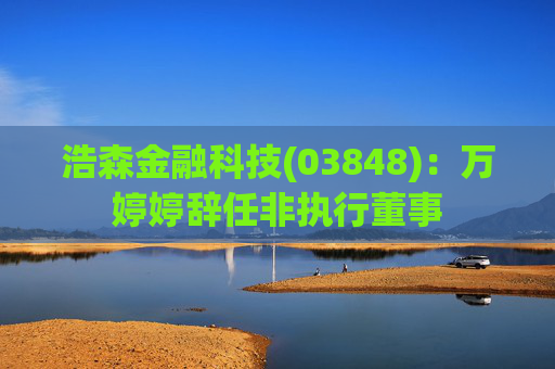 浩森金融科技(03848)：万婷婷辞任非执行董事
