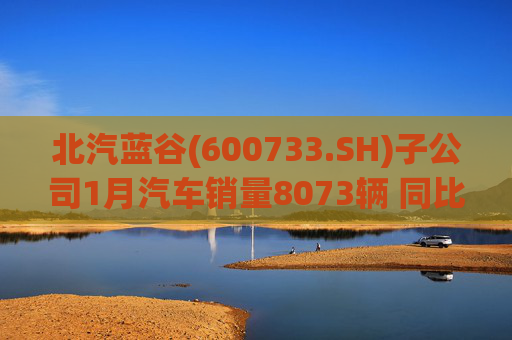 北汽蓝谷(600733.SH)子公司1月汽车销量8073辆 同比增长11.83%