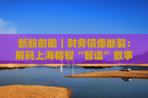 新股前瞻｜财务镜像断裂：解码上海精智“智造”叙事背后的增长逻辑悖论  第1张