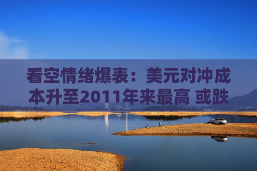 看空情绪爆表：美元对冲成本升至2011年来最高 或跌向四年低点