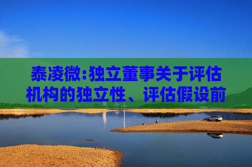 泰凌微:独立董事关于评估机构的独立性、评估假设前提的合理性、评估方法与评估目的的相关性以及评估定价的公允性的独立意见  第1张