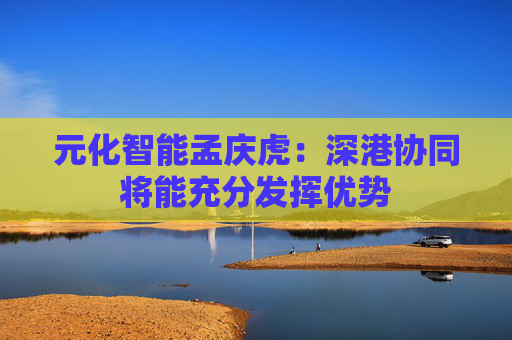 元化智能孟庆虎：深港协同将能充分发挥优势  第1张