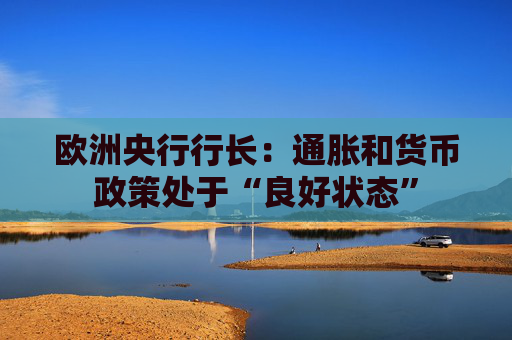 欧洲央行行长：通胀和货币政策处于“良好状态”