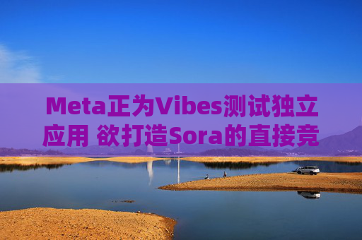 Meta正为Vibes测试独立应用 欲打造Sora的直接竞品
