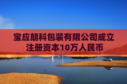 宝应朗科包装有限公司成立 注册资本10万人民币  第1张