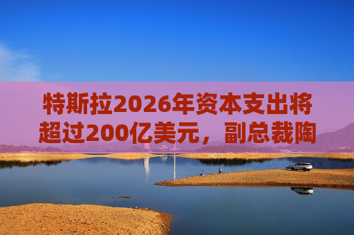 特斯拉2026年资本支出将超过200亿美元，副总裁陶琳公布六大投资方向