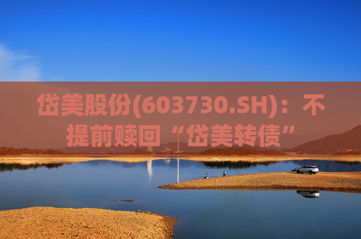 岱美股份(603730.SH)：不提前赎回“岱美转债”