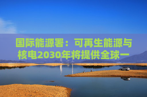 国际能源署：可再生能源与核电2030年将提供全球一半电力
