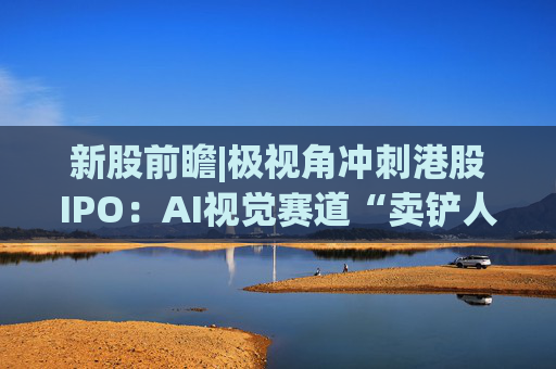 新股前瞻|极视角冲刺港股IPO：AI视觉赛道“卖铲人”潜力可期，盈利波动困境难解