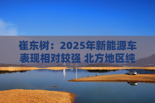 崔东树：2025年新能源车表现相对较强 北方地区纯电动占比提升明显  第1张