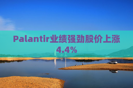Palantir业绩强劲股价上涨4.4%