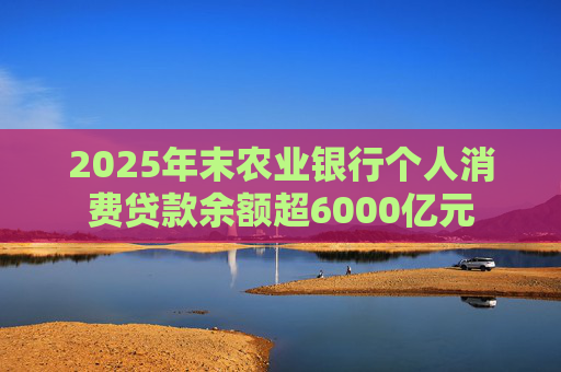 2025年末农业银行个人消费贷款余额超6000亿元