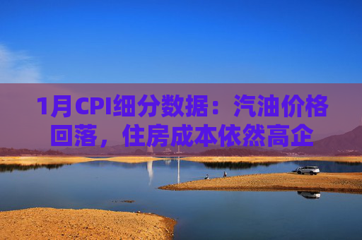 1月CPI细分数据：汽油价格回落，住房成本依然高企