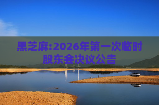 黑芝麻:2026年第一次临时股东会决议公告