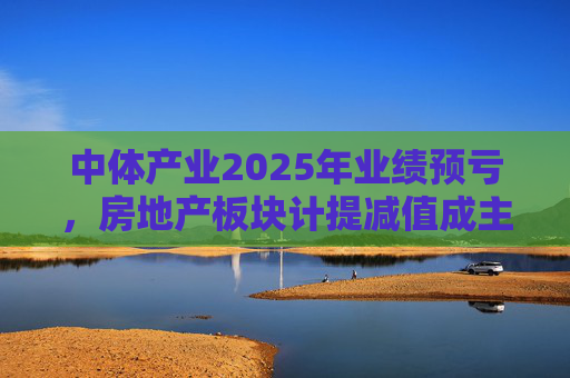 中体产业2025年业绩预亏，房地产板块计提减值成主因