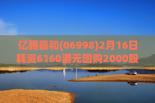 亿腾嘉和(06998)2月16日耗资6160港元回购2000股