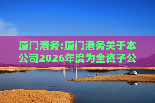 厦门港务:厦门港务关于本公司2026年度为全资子公司提供担保进展情况的公告