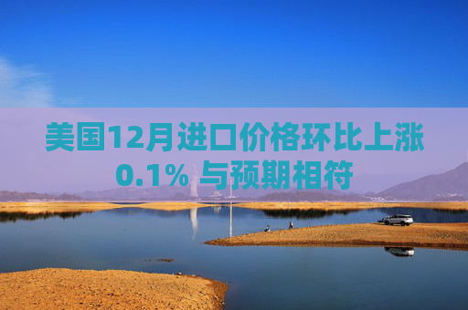 美国12月进口价格环比上涨0.1% 与预期相符