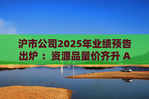 沪市公司2025年业绩预告出炉 ：资源品量价齐升 AI链景气延续