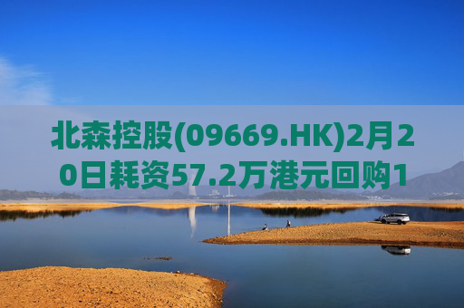 北森控股(09669.HK)2月20日耗资57.2万港元回购10万股