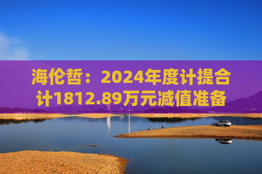海伦哲：2024年度计提合计1812.89万元减值准备