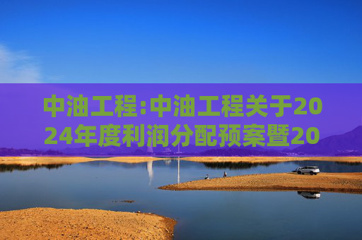 中油工程:中油工程关于2024年度利润分配预案暨2025年中期现金分红有关事项授权的公告  第1张