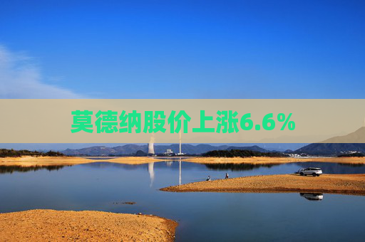 莫德纳股价上涨6.6%