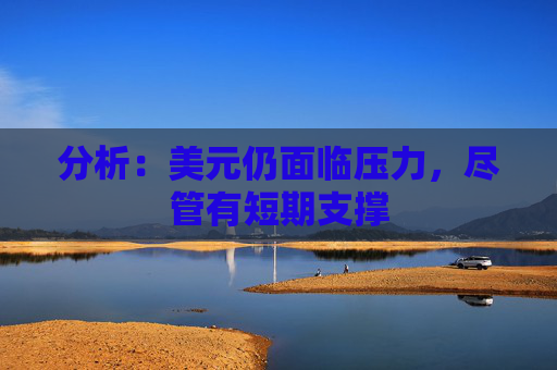 分析：美元仍面临压力，尽管有短期支撑