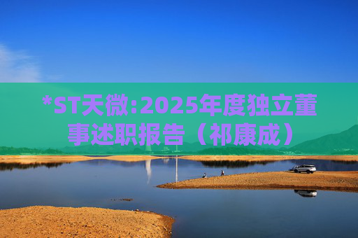 *ST天微:2025年度独立董事述职报告（祁康成）