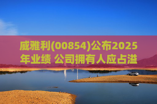 威雅利(00854)公布2025年业绩 公司拥有人应占溢利5095.8万港元