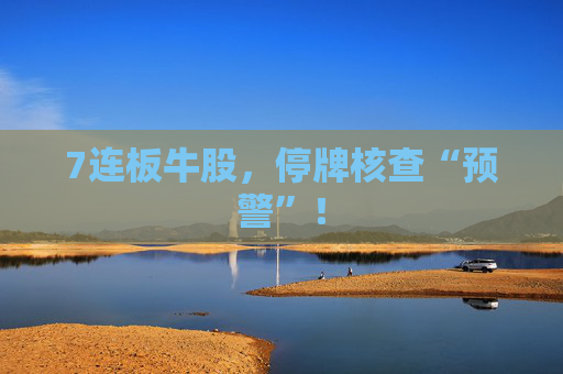 7连板牛股，停牌核查“预警”！