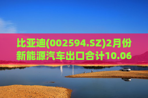 比亚迪(002594.SZ)2月份新能源汽车出口合计10.06万辆  第1张