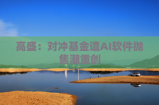 高盛：对冲基金遭AI软件抛售潮重创