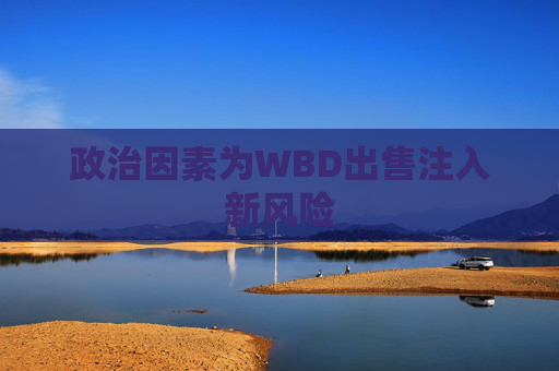 政治因素为WBD出售注入新风险  第1张