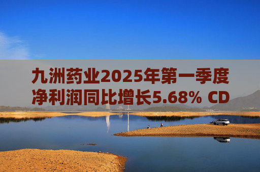 九洲药业2025年第一季度净利润同比增长5.68% CDMO业务稳步提升  第1张