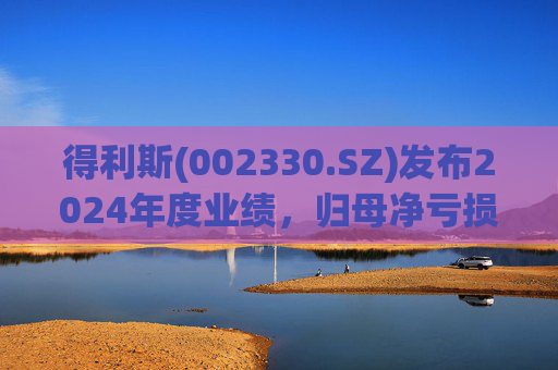 得利斯(002330.SZ)发布2024年度业绩，归母净亏损3367万元