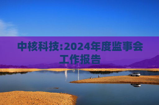中核科技:2024年度监事会工作报告