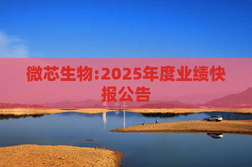 微芯生物:2025年度业绩快报公告