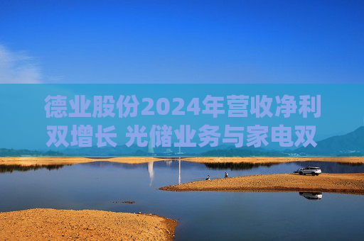 德业股份2024年营收净利双增长 光储业务与家电双轮驱动发力