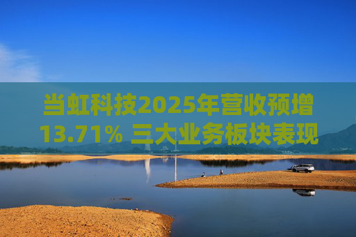 当虹科技2025年营收预增13.71% 三大业务板块表现亮眼  第1张