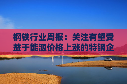钢铁行业周报：关注有望受益于能源价格上涨的特钢企业  第1张