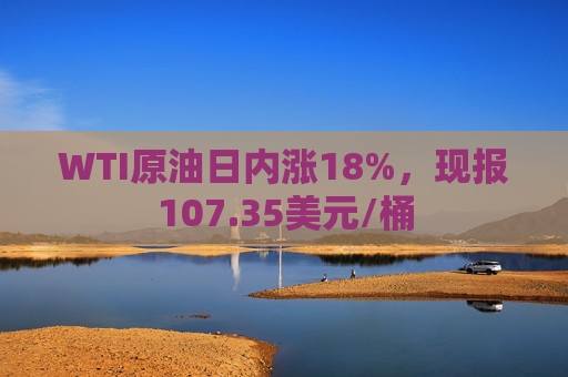 WTI原油日内涨18%，现报107.35美元/桶