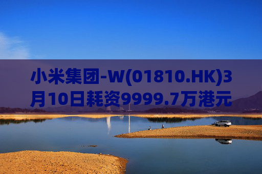 小米集团-W(01810.HK)3月10日耗资9999.7万港元回购297.7万股
